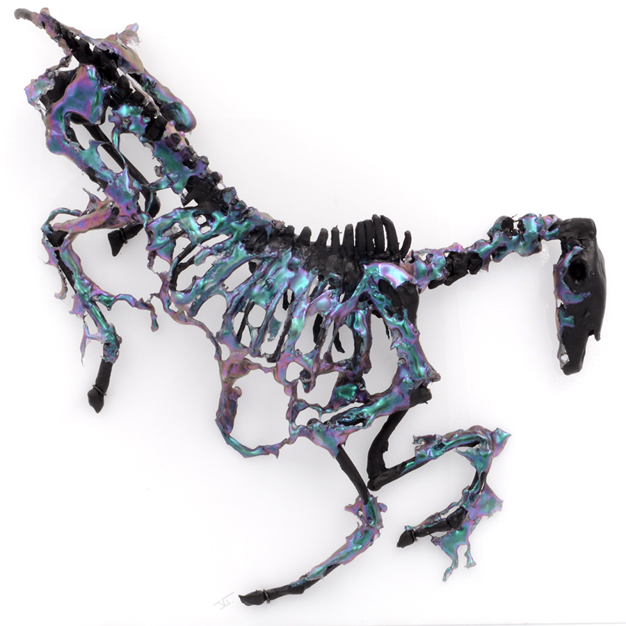 cheval mort5