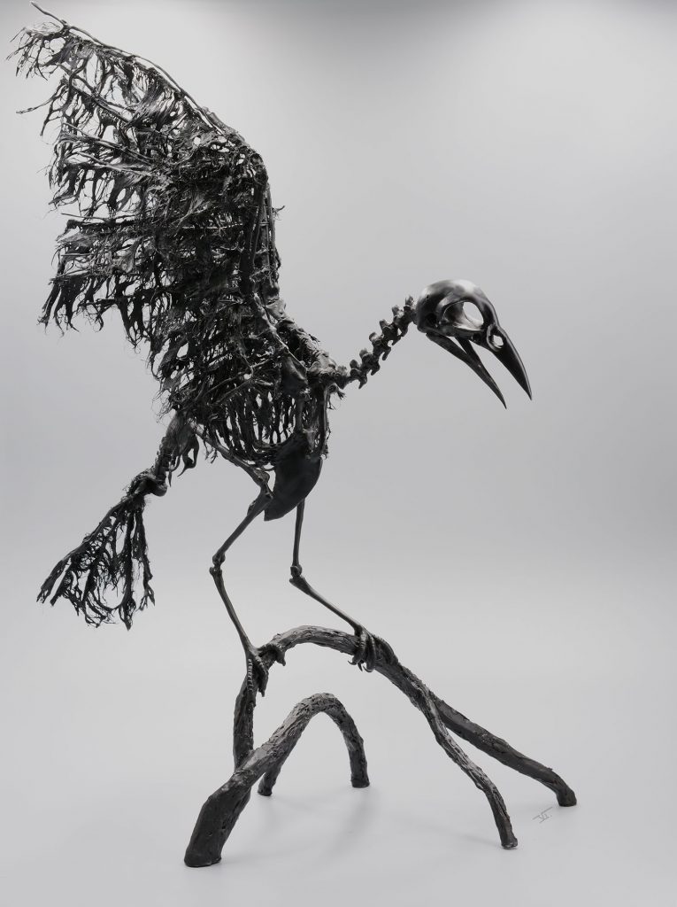corbeau squelette noir