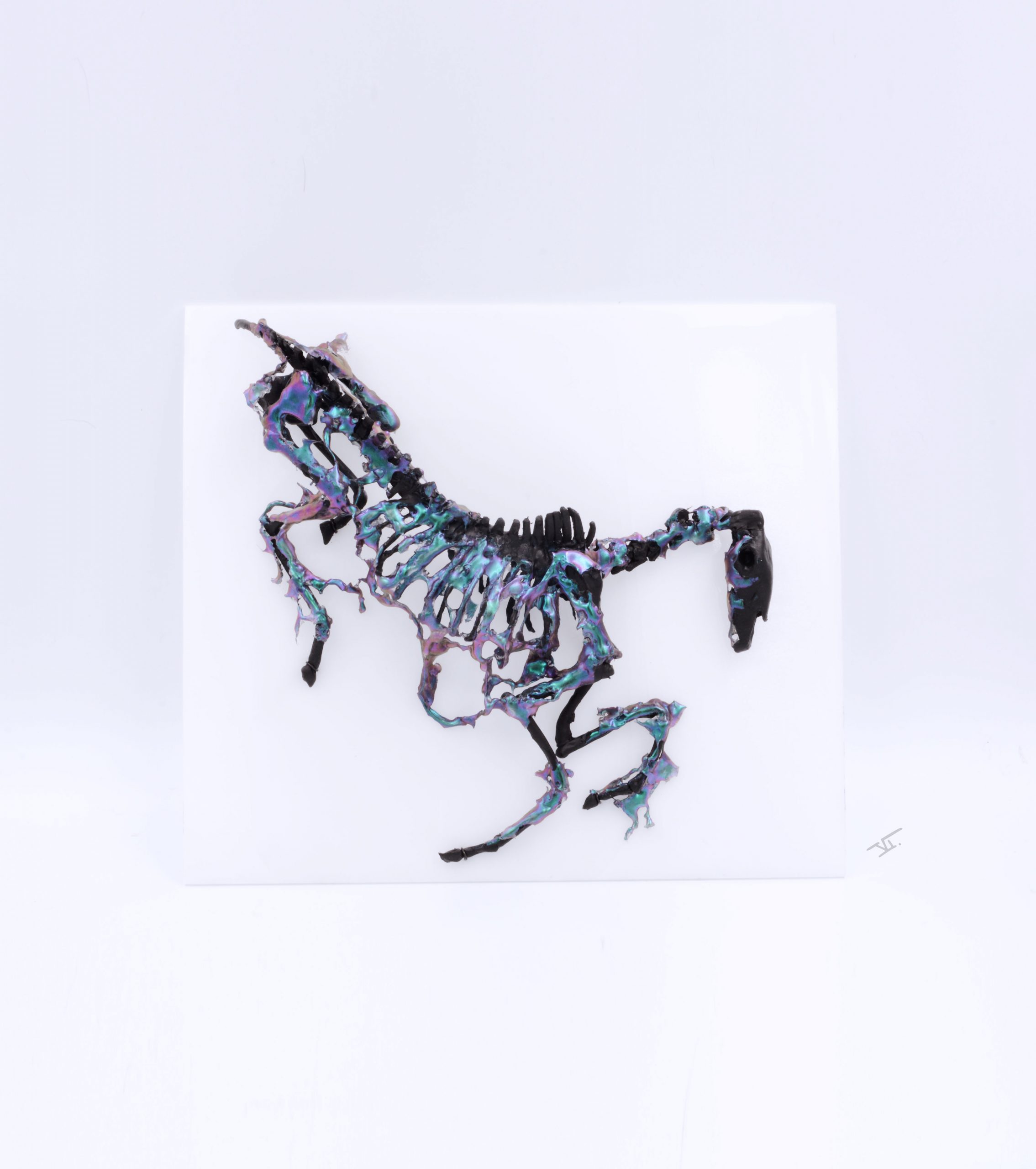 cheval-mort3