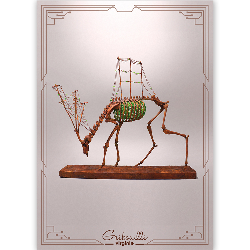 Carte-postale6-carre