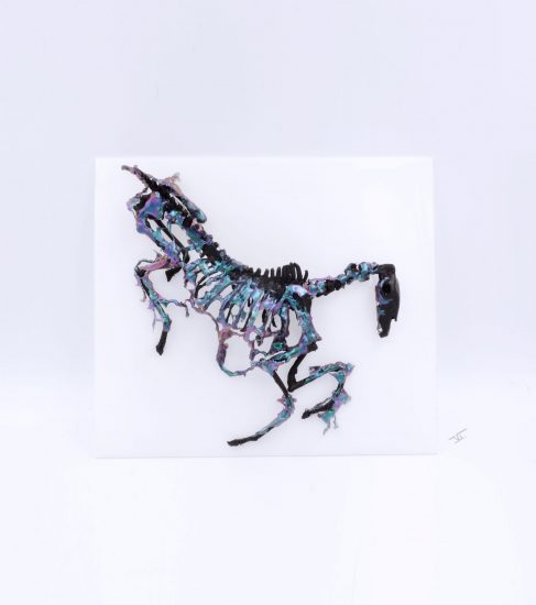 cheval-mort3